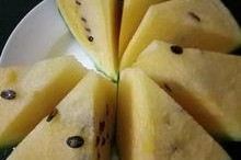 吃瓜论坛母子,母子情深，网友热议家庭温馨瞬间